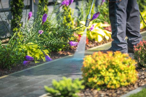 Best Animal Enclosure Cleaning  in Wrightsville, PA
